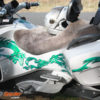 Dragons Fury Green - Image 5